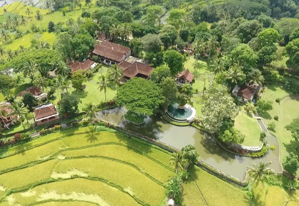 Ijen Resort and Villas