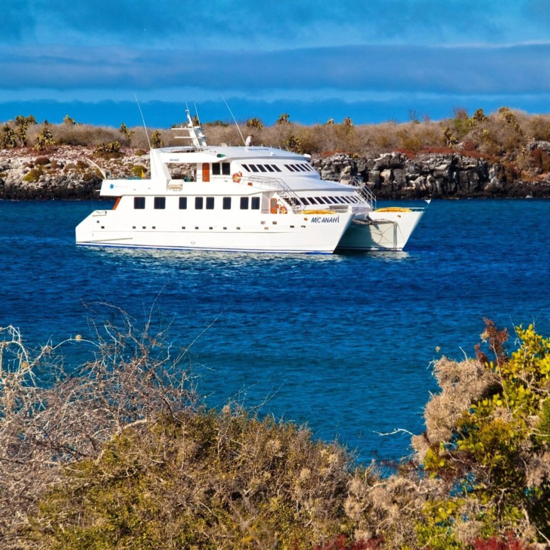 Anahi Galapagos Vessel