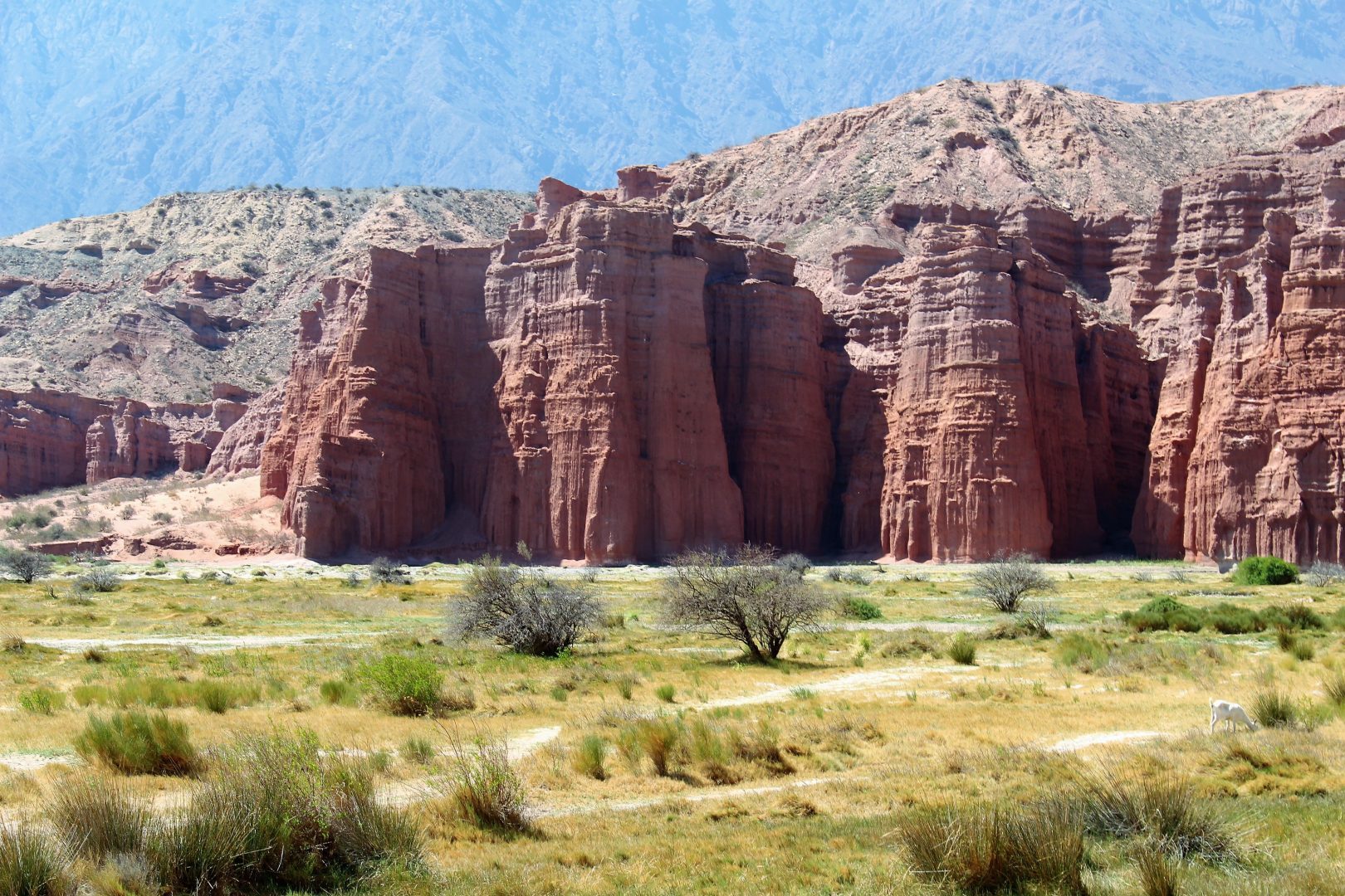 Northwest Argentina: Culture & Wine in a Land of Extremes