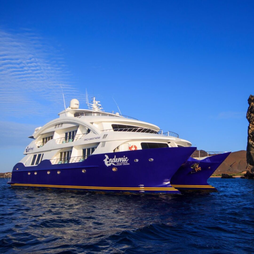 Endemic Galapagos Vessel