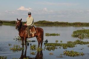 Horseback riding, Pantanal, Brazil