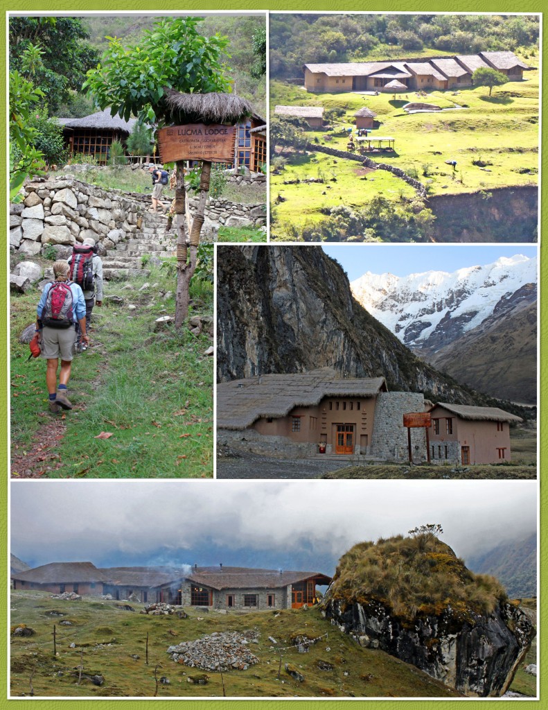 Clockwise from top left: Lucma, Colpa, Salkantay, Wayra