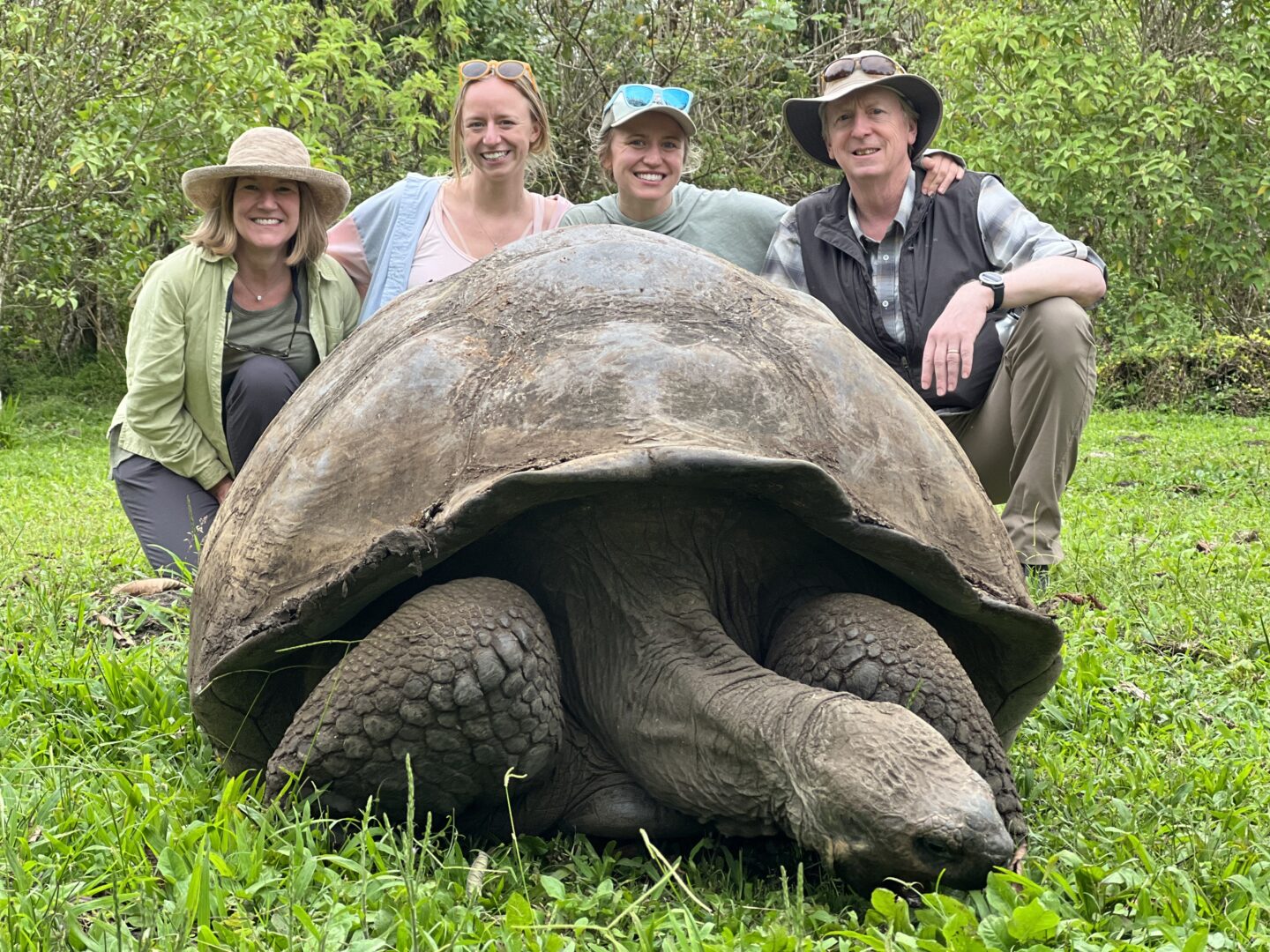 Tortoise - Galapagos - M. Barnett