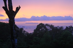 Osa Peninsula, Costa Rica