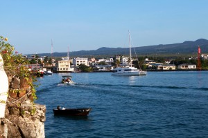 Puerto Ayora from the Angermeyer Inn