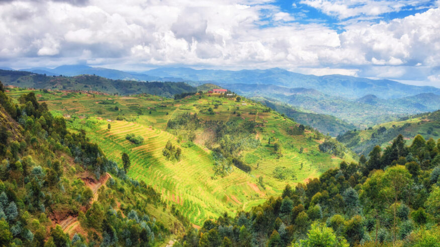 Beautiful rural landscape with agricultures terraces, Rwanda near Nyungwe National Park, Africa