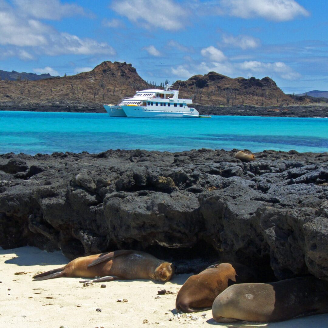 Seaman Journey Galapagos Vessel