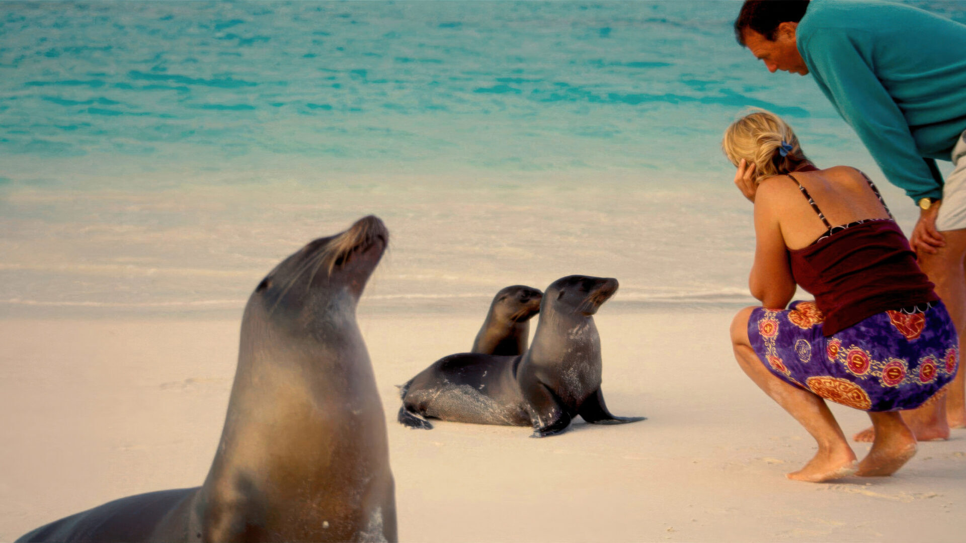 south america vacation packages