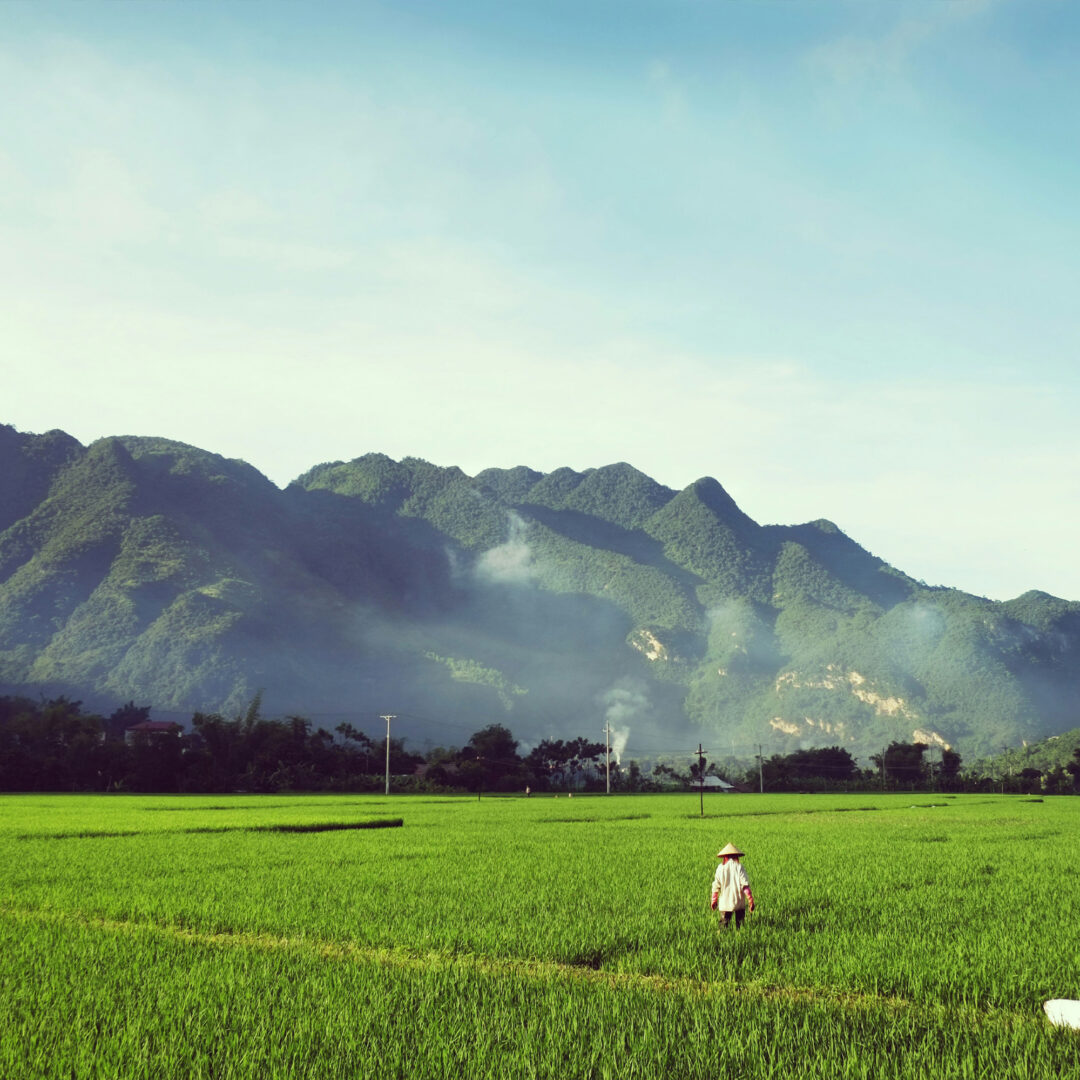 Vaya_Explore-More-Asia