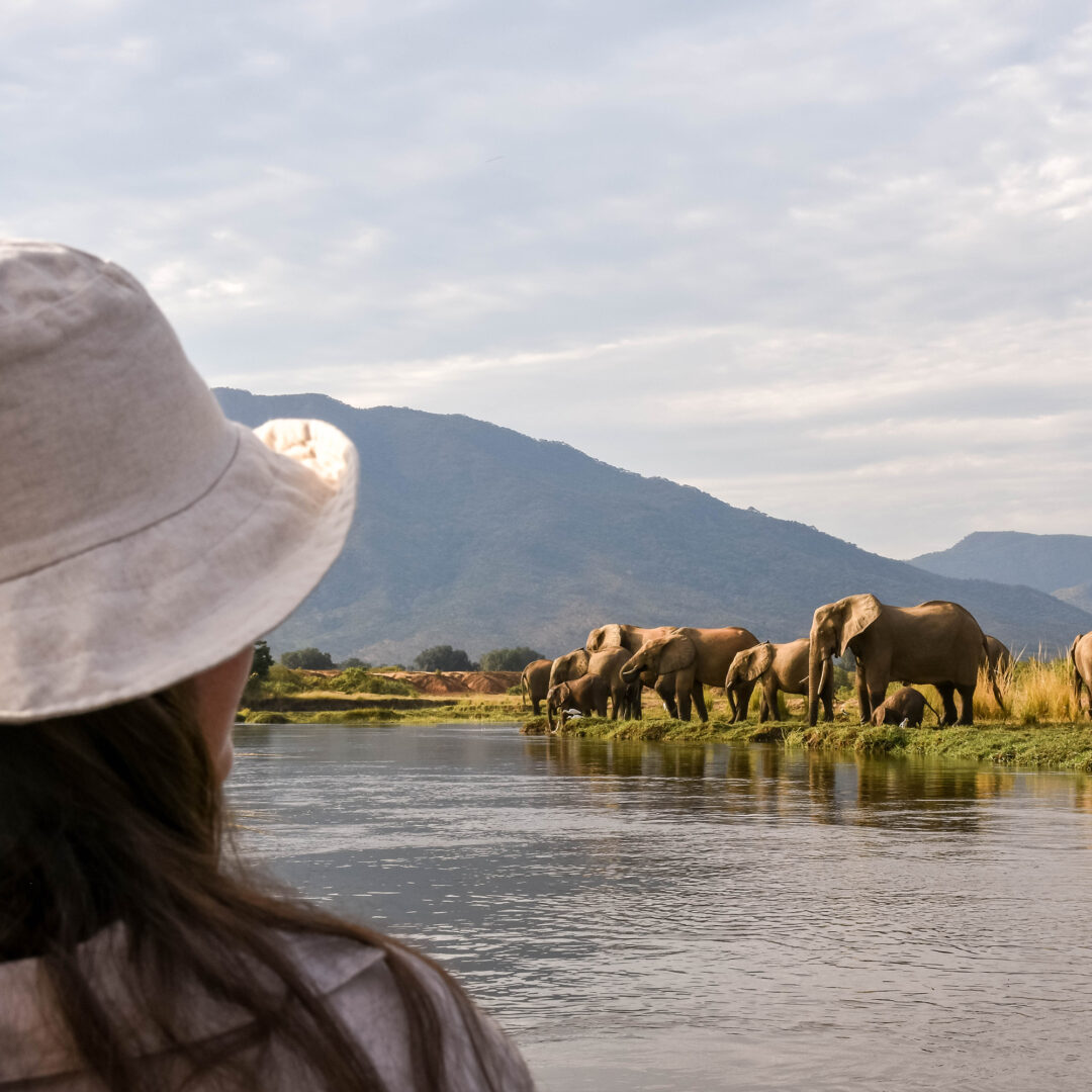 custom safari zambia