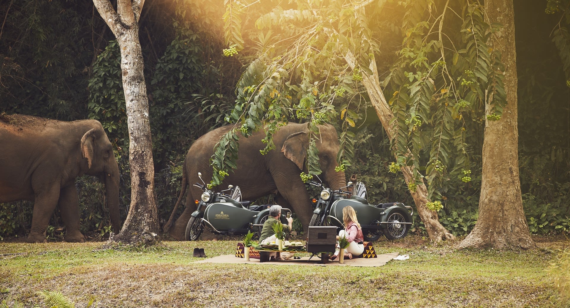 Anantara Golden Triangle Elephant Camp & Resort