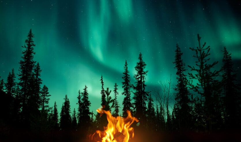 A warm and cosy campfire in the wilderness with forest trees silhouetted in the background and the stars and Northern Lights (Aurora Borealis) lighting up the night sky. Photo composite.