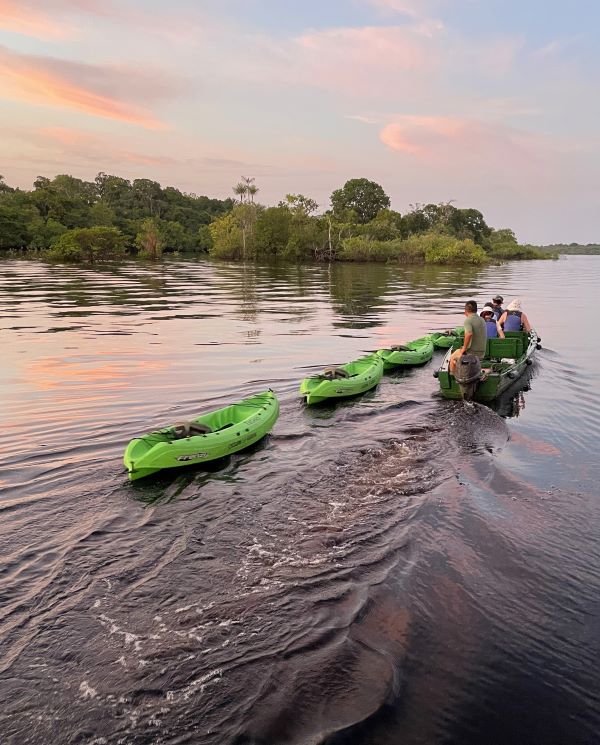 Four kayaks being pulled along a river in the Peruvian Amazon by a group in a motorboat while the sky turns orange at sunset.