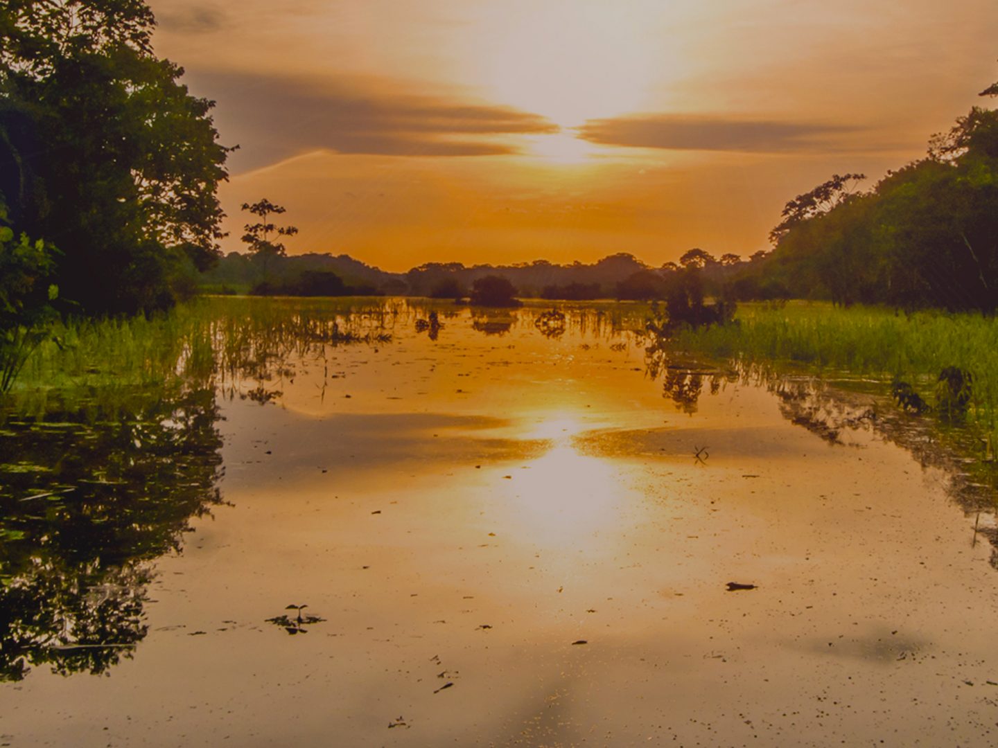 Rio de Janeiro & North Pantanal